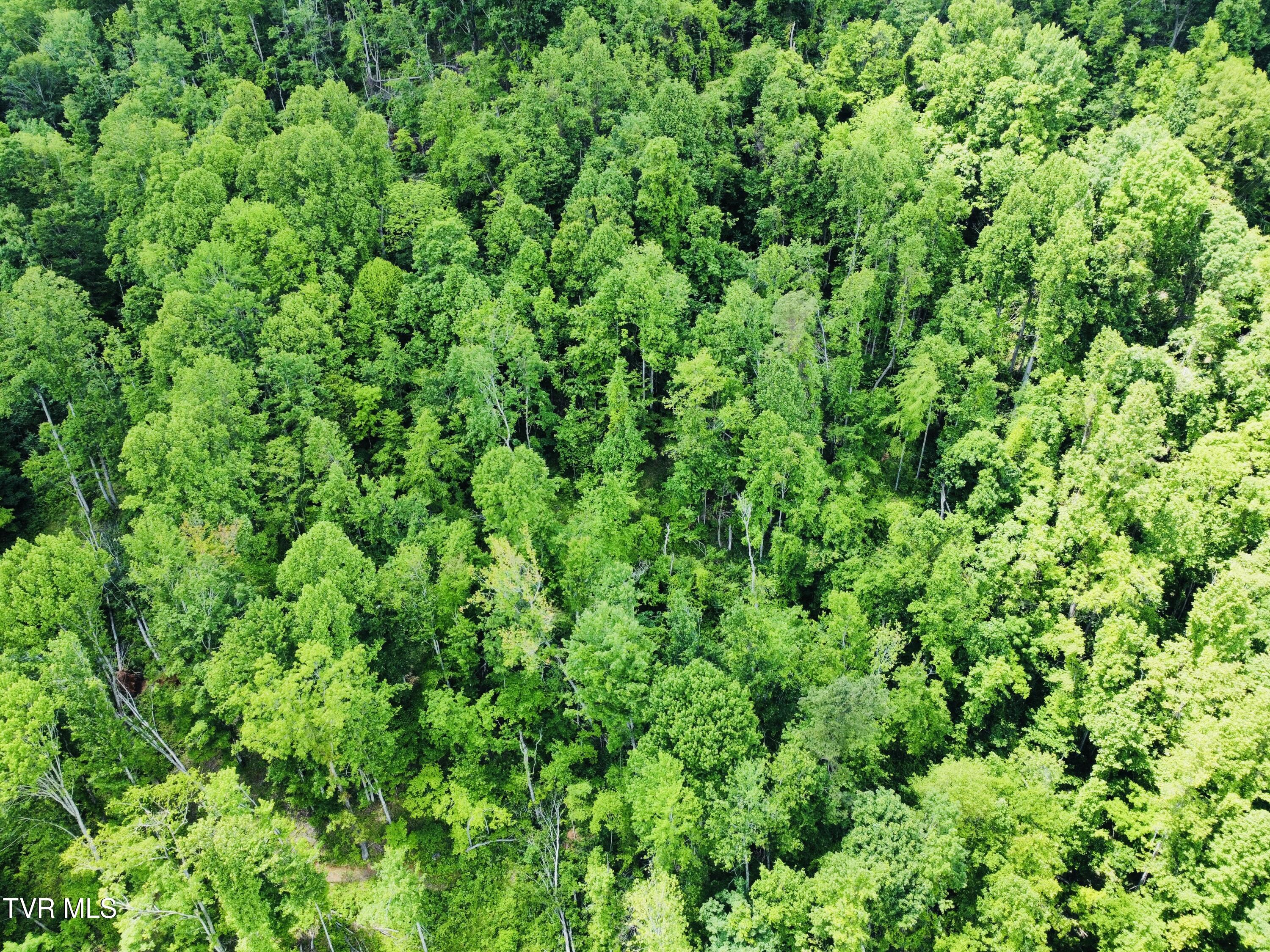 286 Jenkins Hollow Rd Road, Elizabethton, Tennessee image 6