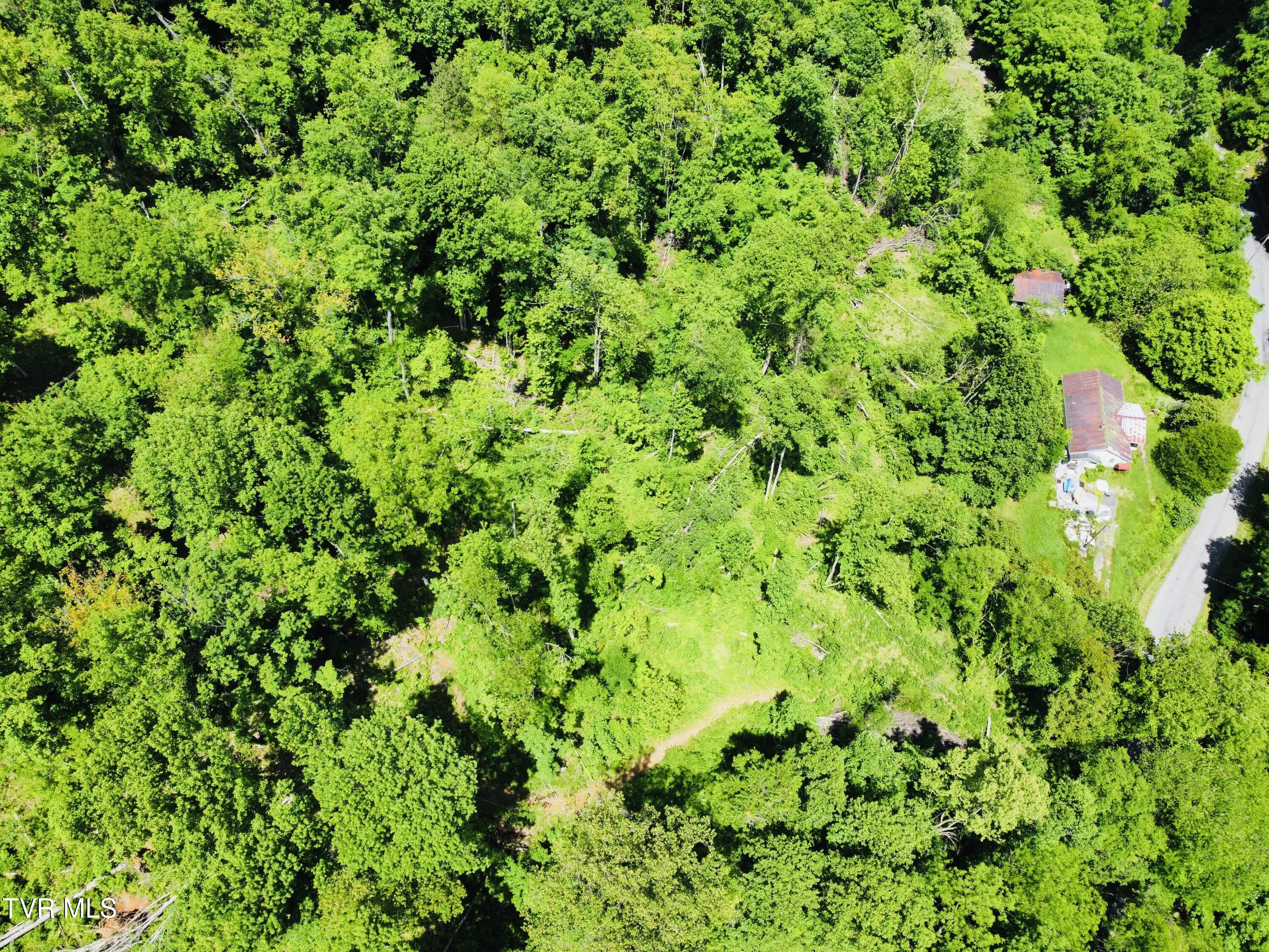 286 Jenkins Hollow Rd Road, Elizabethton, Tennessee image 4