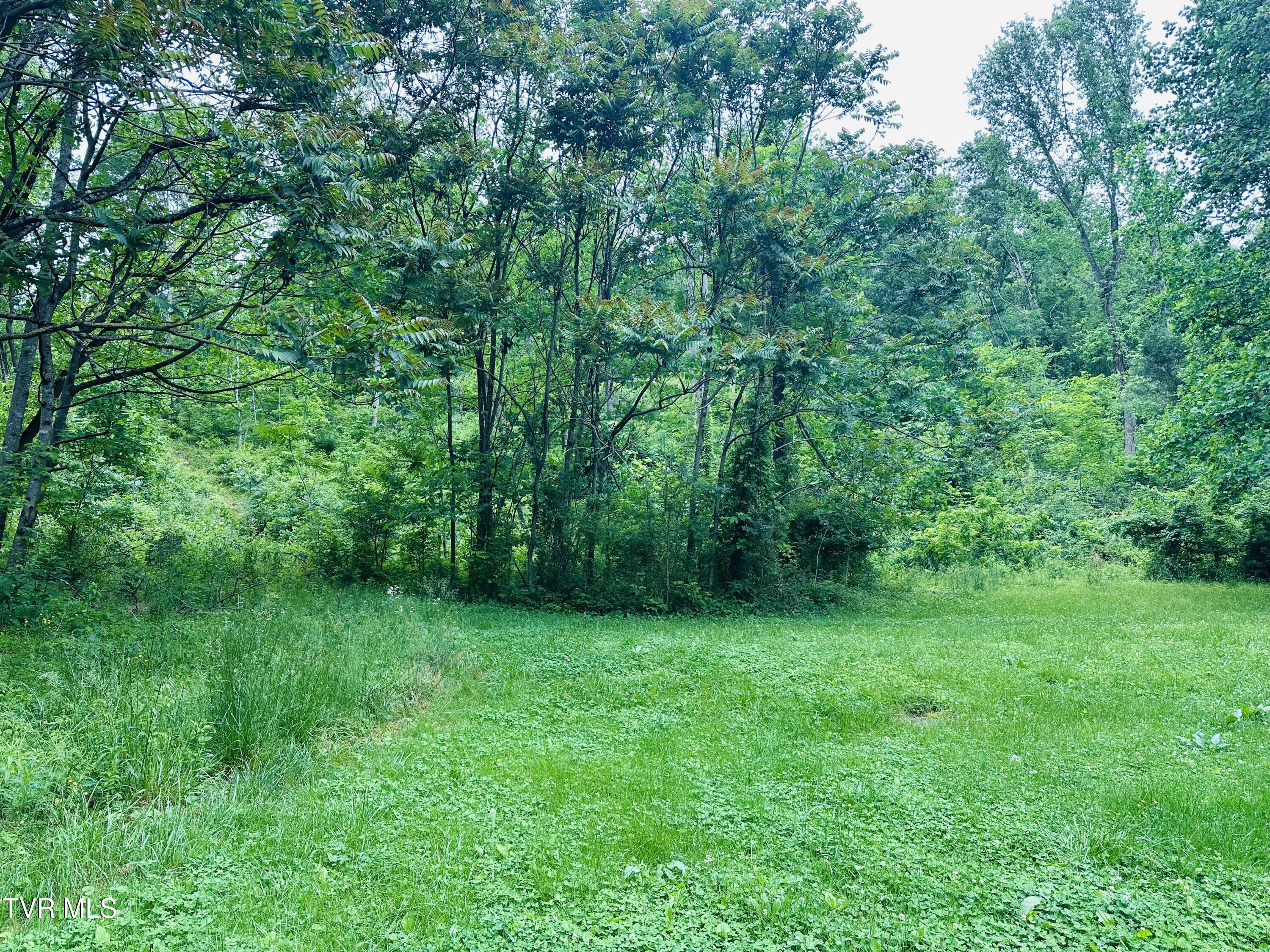 286 Jenkins Hollow Rd Road, Elizabethton, Tennessee image 21
