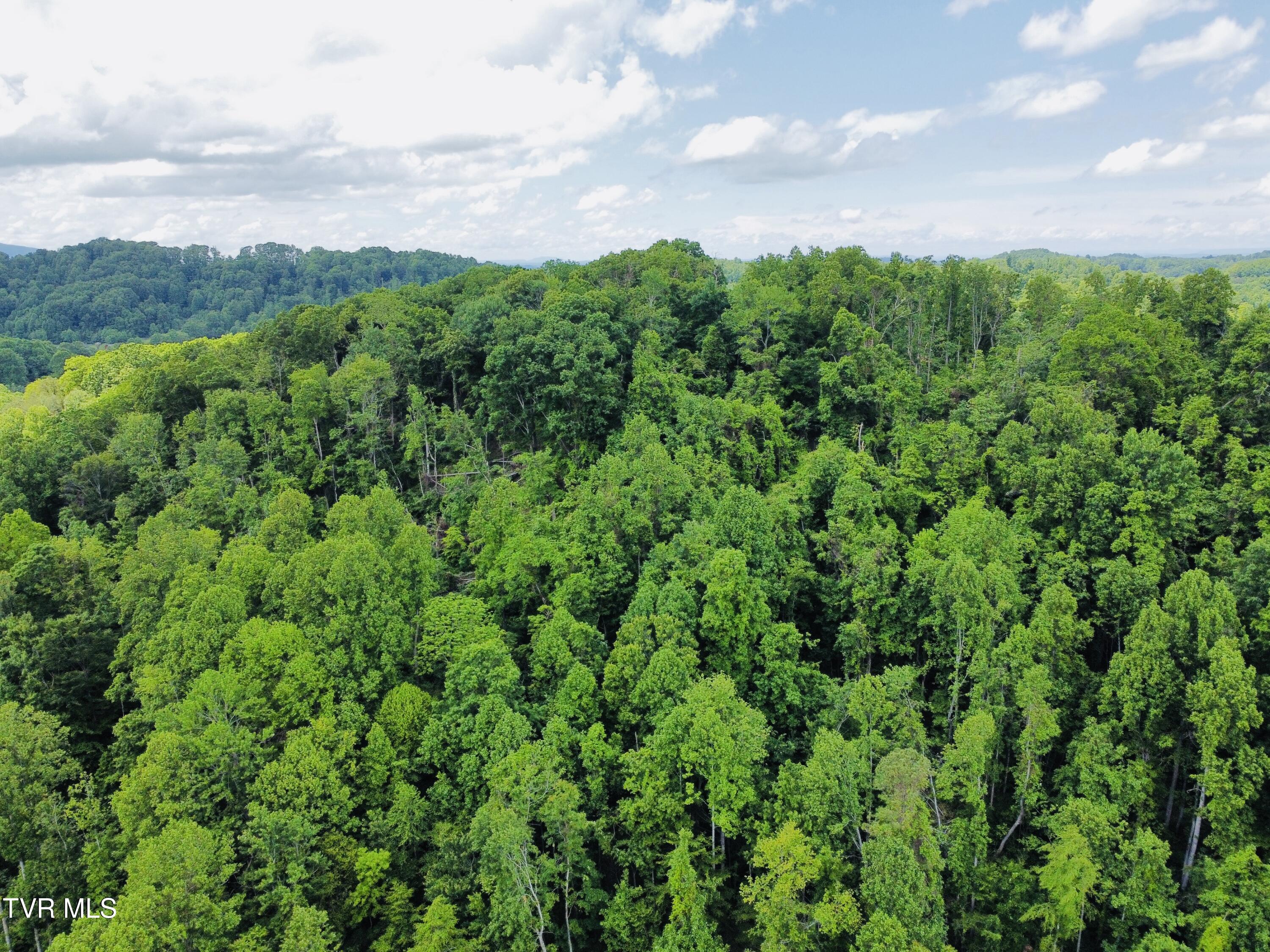 286 Jenkins Hollow Rd Road, Elizabethton, Tennessee image 5
