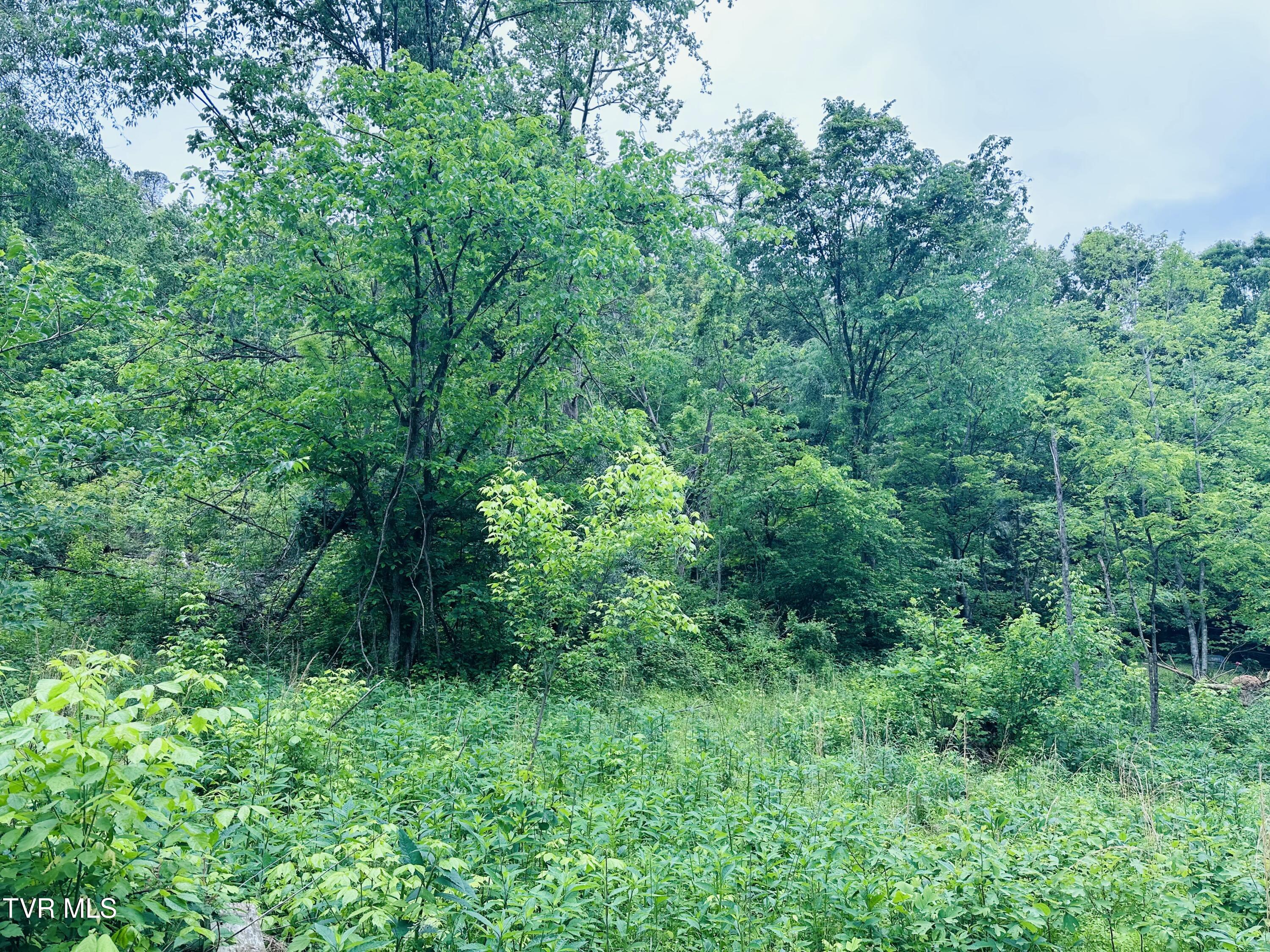 286 Jenkins Hollow Rd Road, Elizabethton, Tennessee image 20