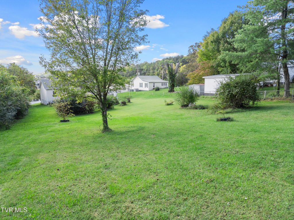 Photo of 507 Crescent Drive, Greeneville, TN 37743 (MLS # 9994535)