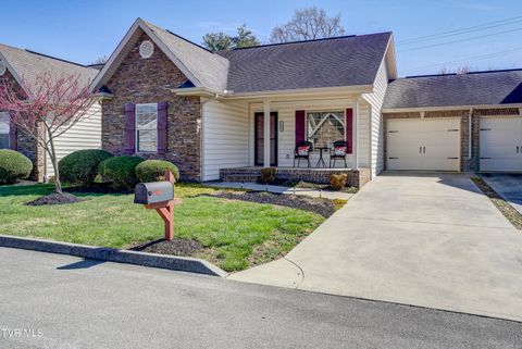 Photo of 1022 Appaloosa Trail, Johnson City, TN 37604 (MLS # 9992821)