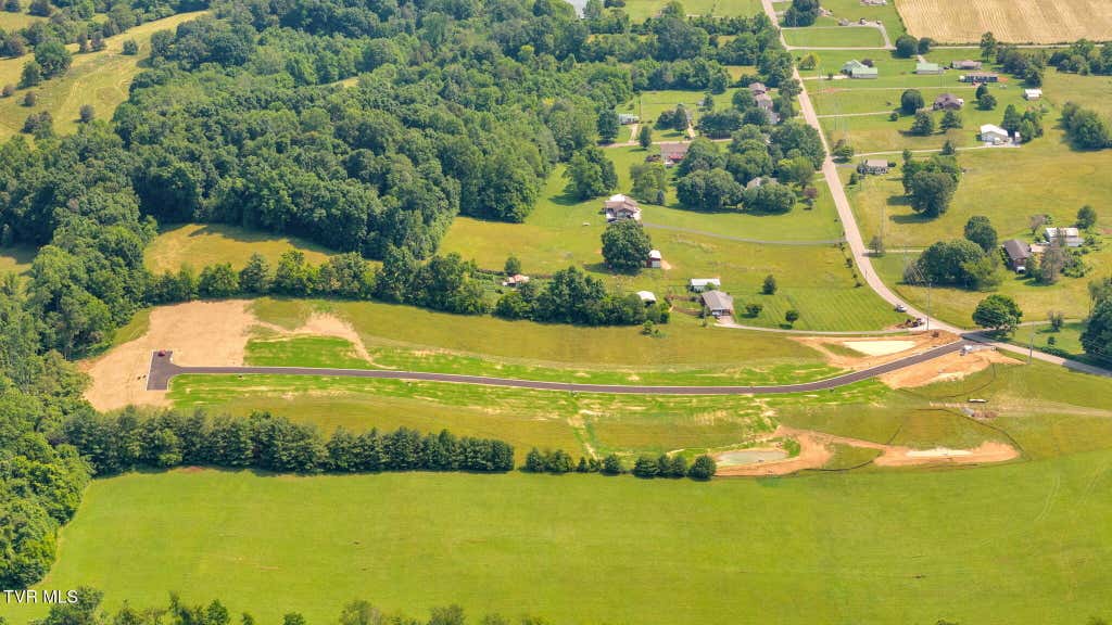 Photo of 403 Tortoise Way, Jonesborough, TN 37659 (MLS # 9981996)