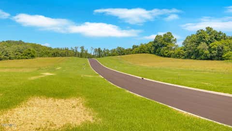 Vacant Land For Sale - 403 Tortoise Way<br/> Jonesborough, TN 37659