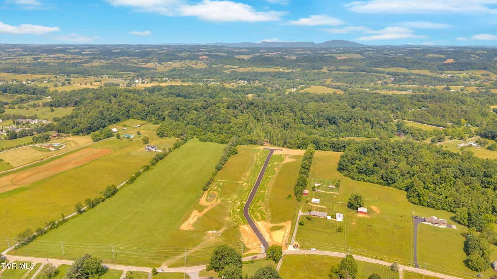 Photo of 403 Tortoise Way, Jonesborough, TN 37659 (MLS # 9981996)
