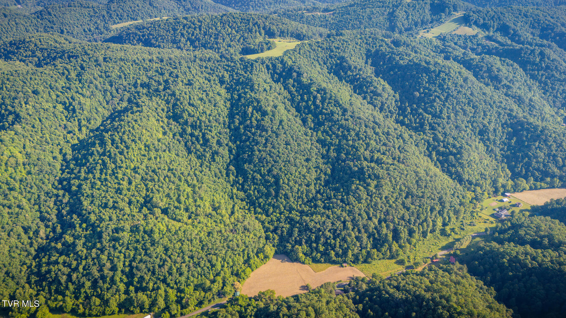 670 Fairview Road, Duffield, Virginia image 15