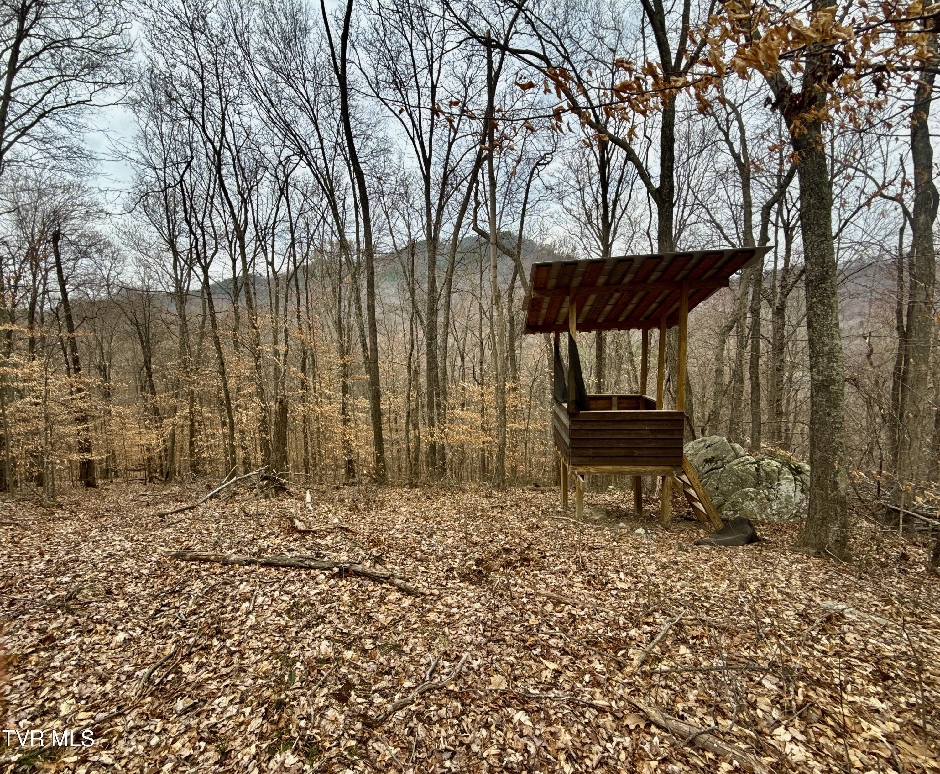 605 Devils Nose Road #1, Rogersville, Tennessee image 41