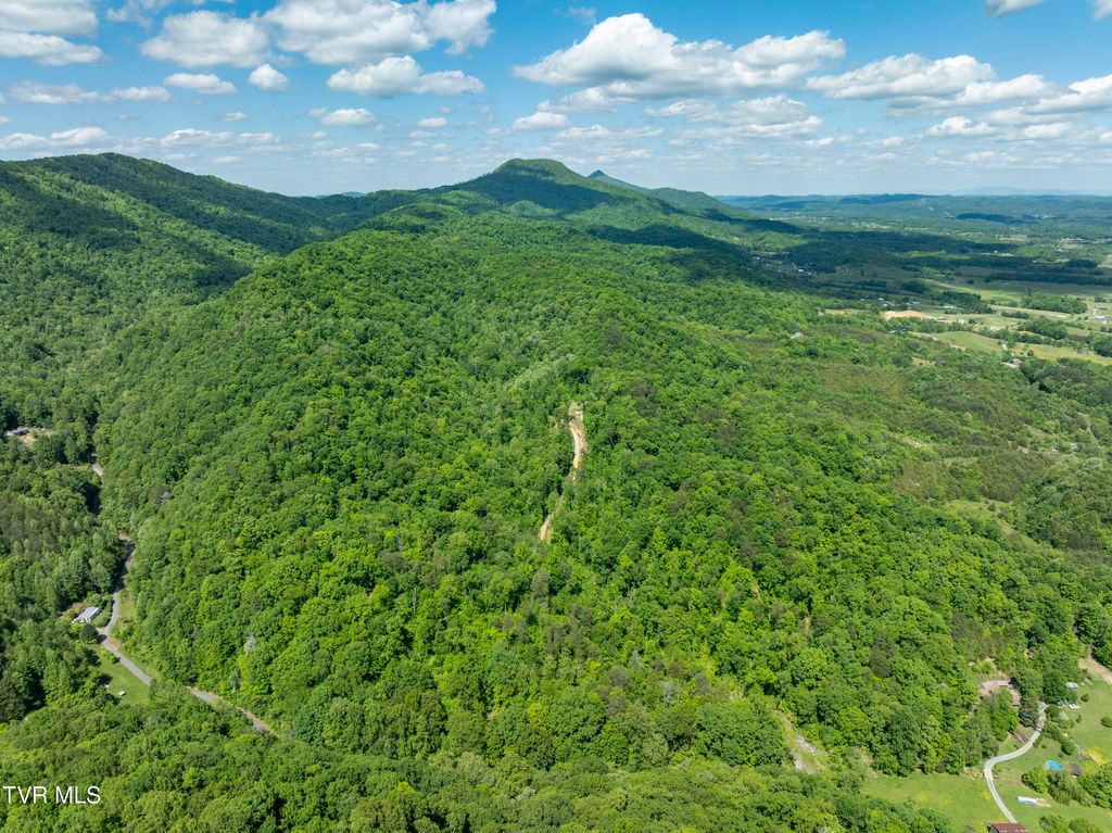 Photo of 950 Caney Creek Lane, Greeneville, TN 37745 (MLS # 9975340)