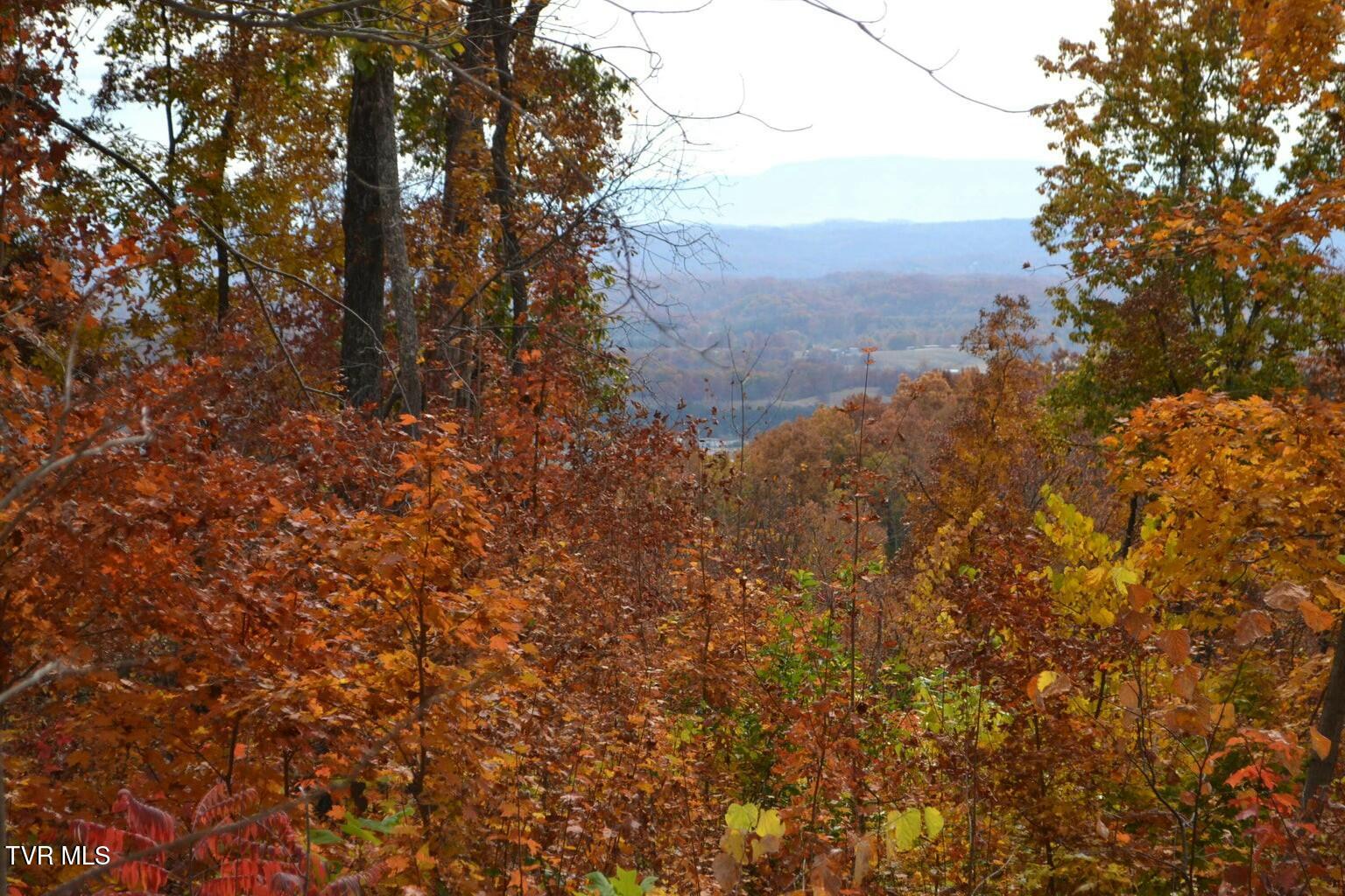 950 Caney Creek Lane, Greeneville, Tennessee image 13
