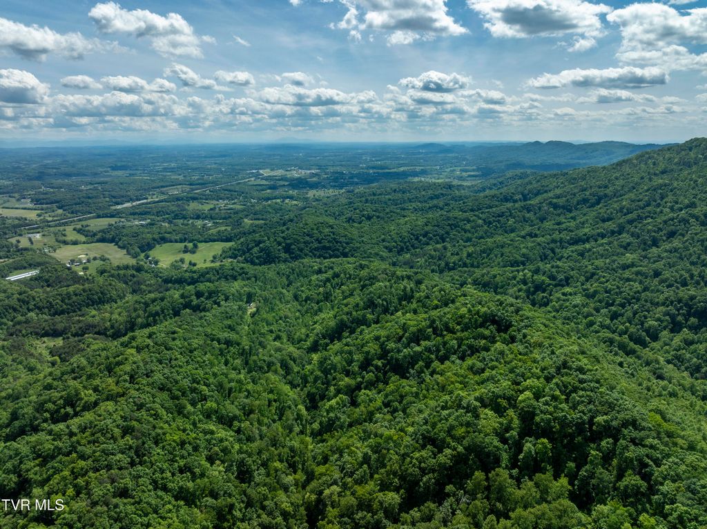 Photo of 950 Caney Creek Lane, Greeneville, TN 37745 (MLS # 9975340)