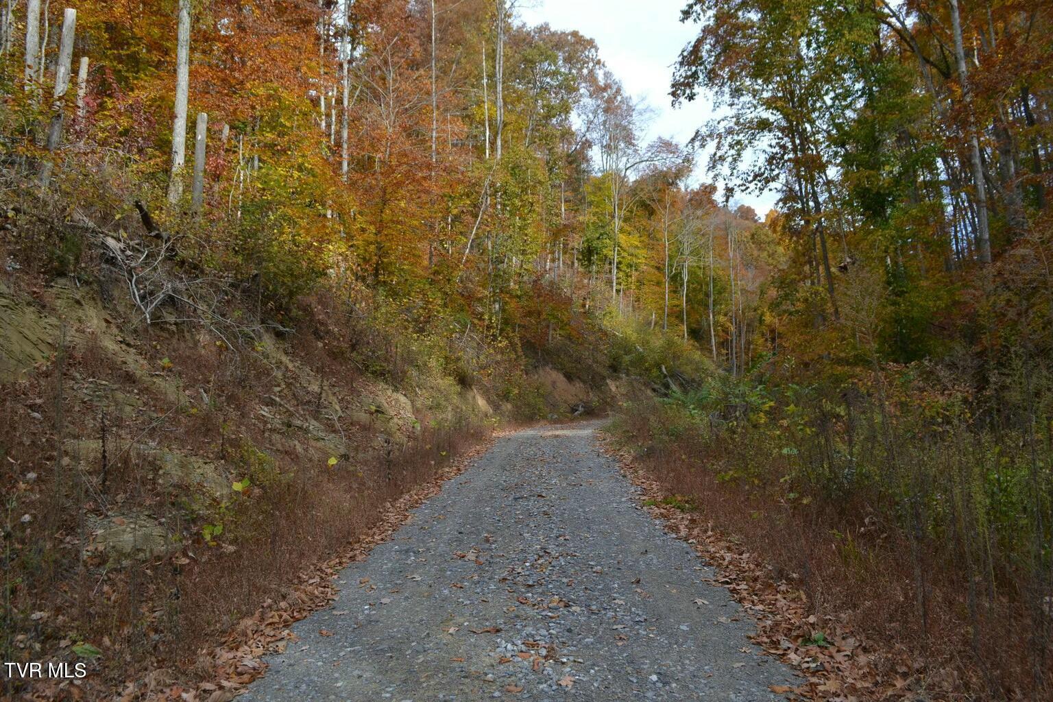 950 Caney Creek Lane, Greeneville, Tennessee image 5