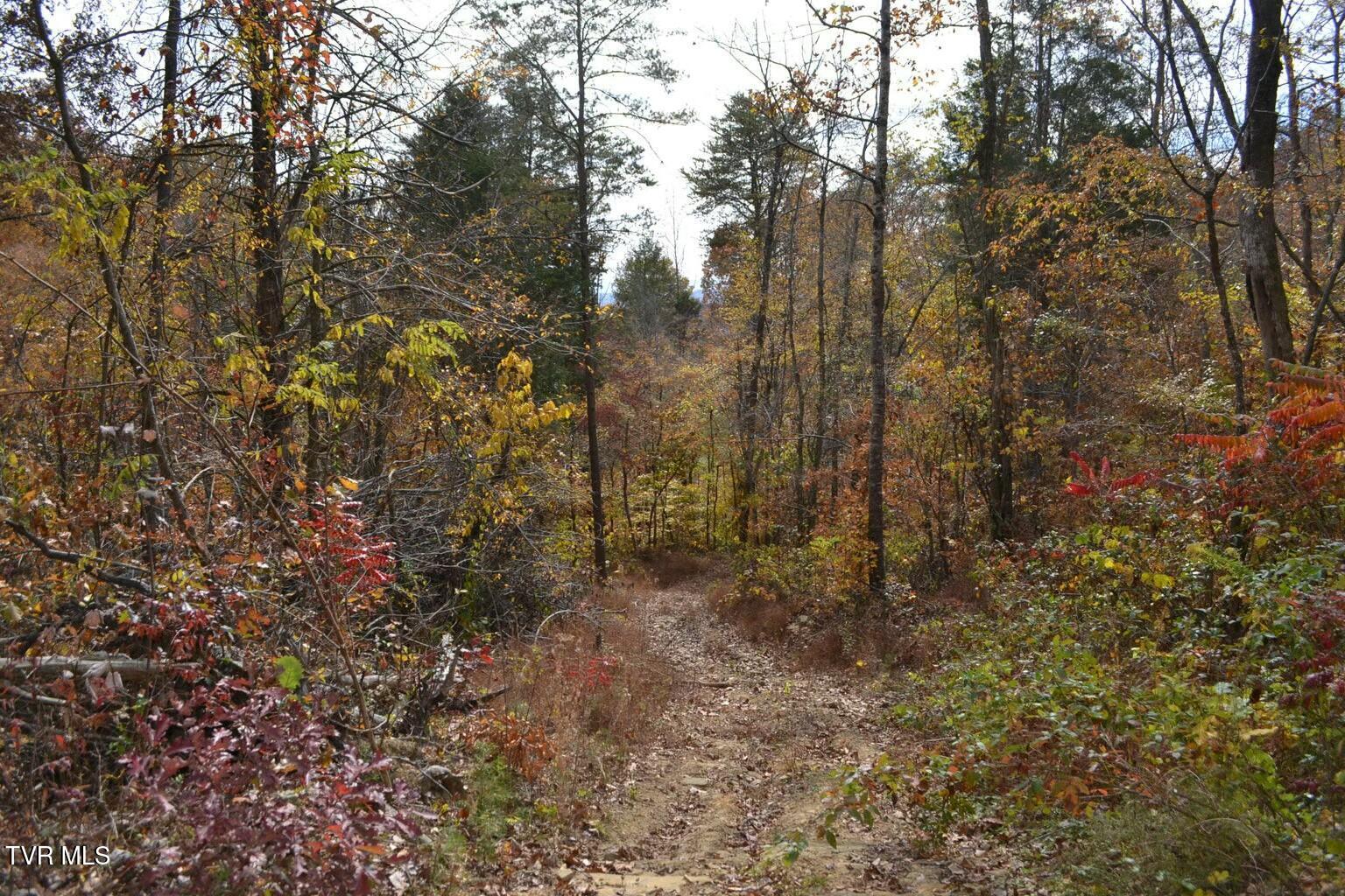 950 Caney Creek Lane, Greeneville, Tennessee image 6