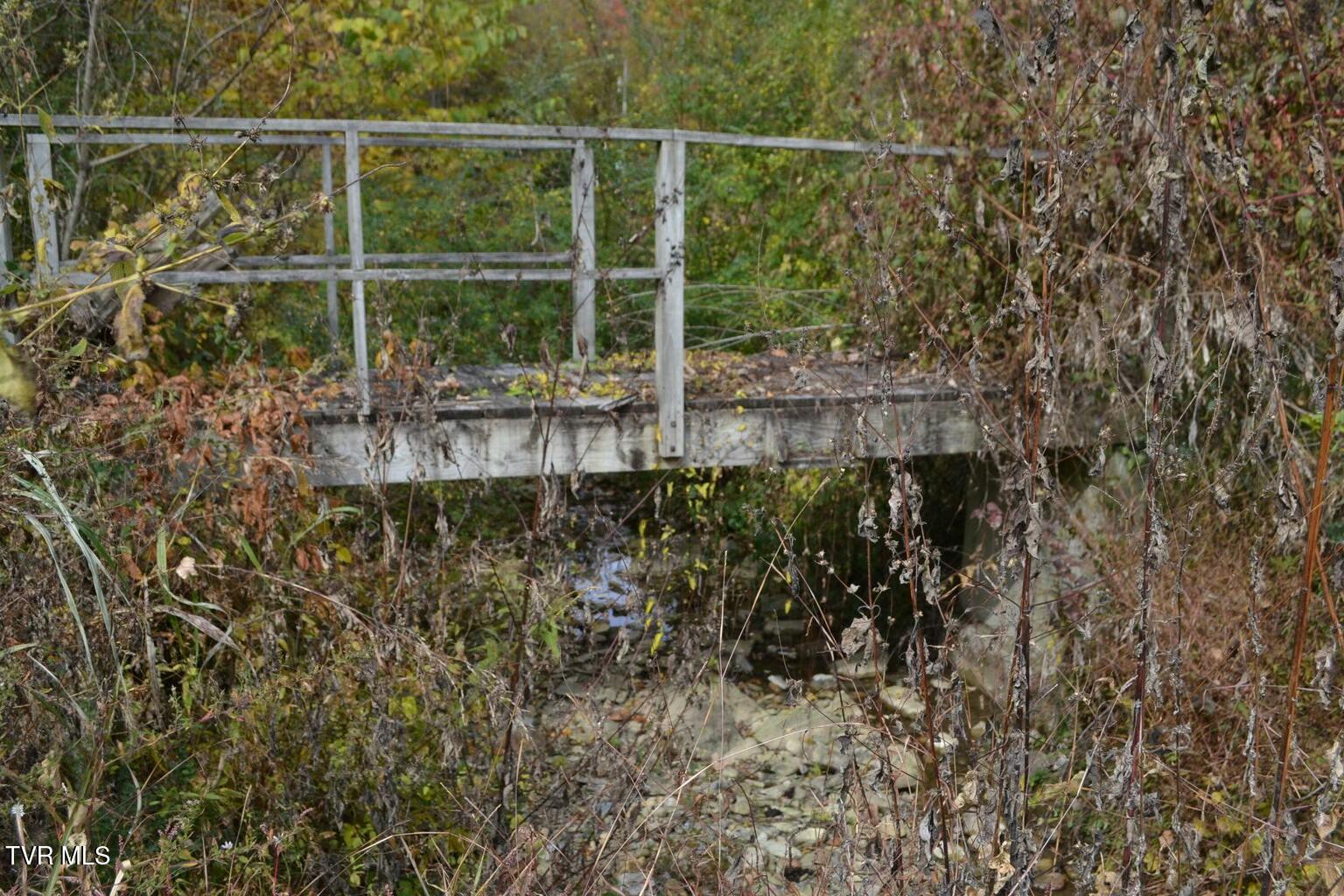 950 Caney Creek Lane, Greeneville, Tennessee image 12
