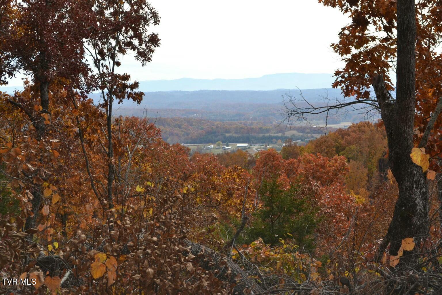 950 Caney Creek Lane, Greeneville, Tennessee image 1