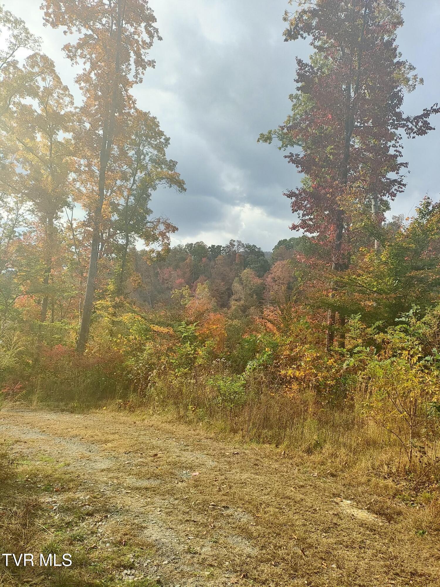 950 Caney Creek Lane, Greeneville, Tennessee image 4