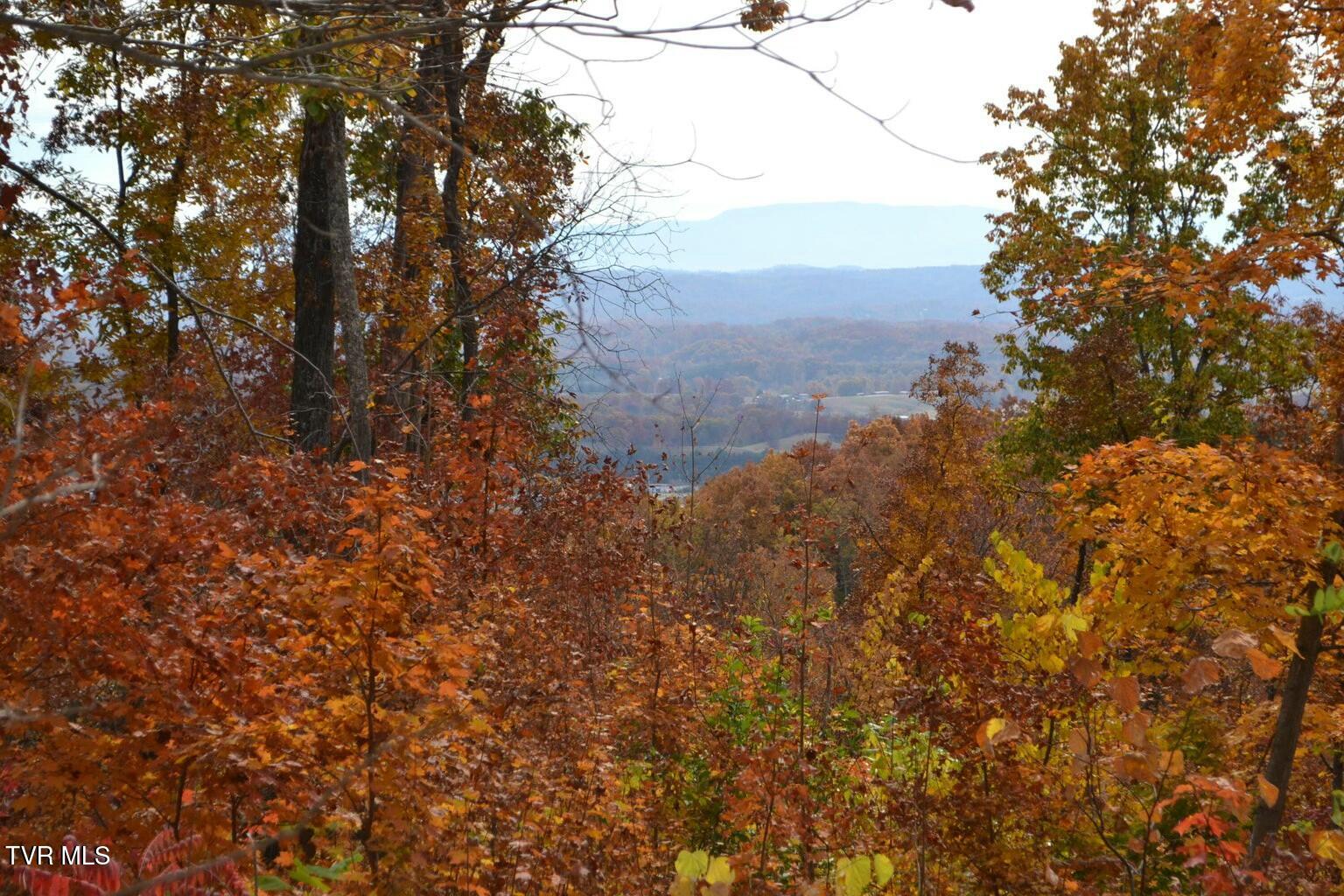 950 Caney Creek Lane, Greeneville, Tennessee image 7