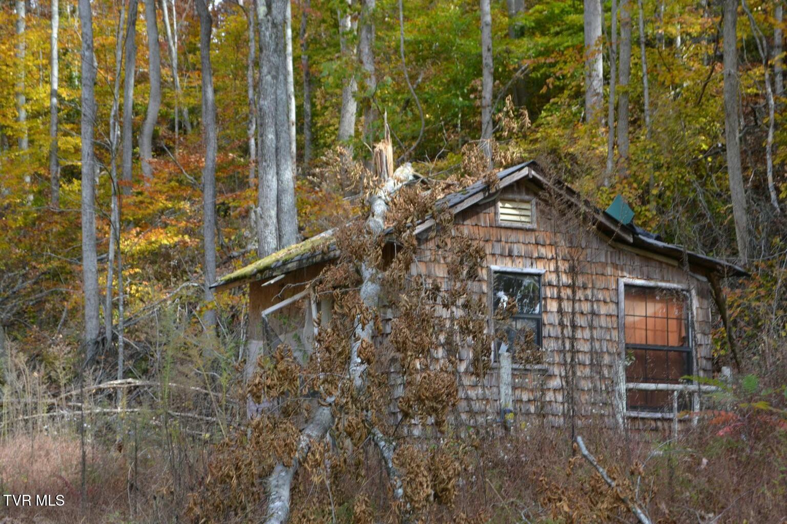 950 Caney Creek Lane, Greeneville, Tennessee image 8