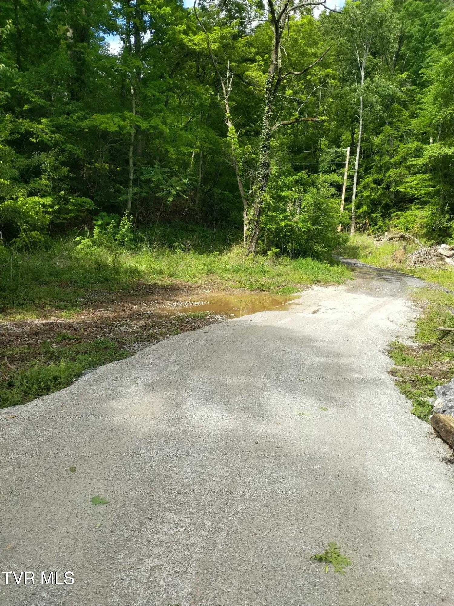 950 Caney Creek Lane, Greeneville, Tennessee image 3