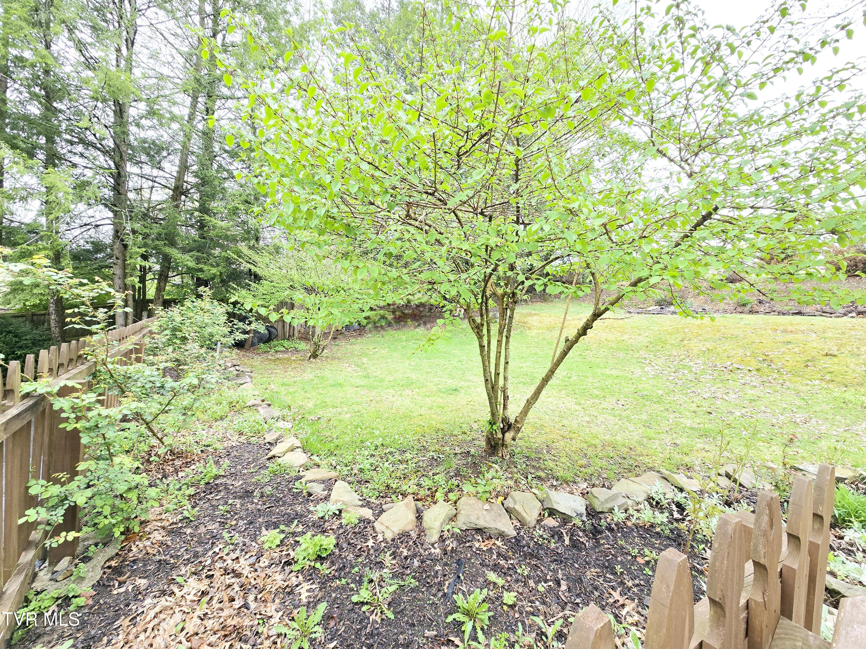 19250 Oakwood Drive, Abingdon, Virginia image 11
