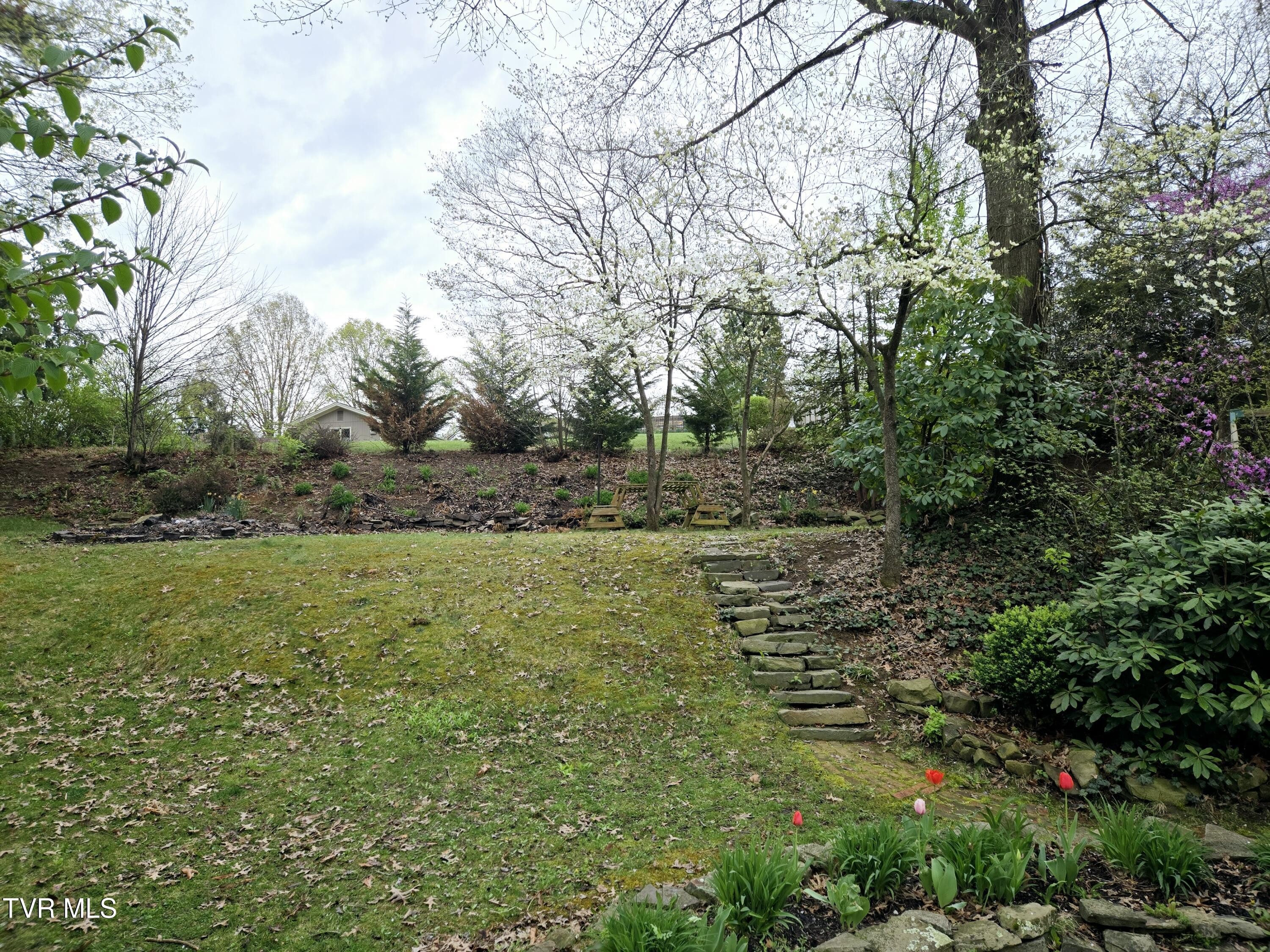 19250 Oakwood Drive, Abingdon, Virginia image 40