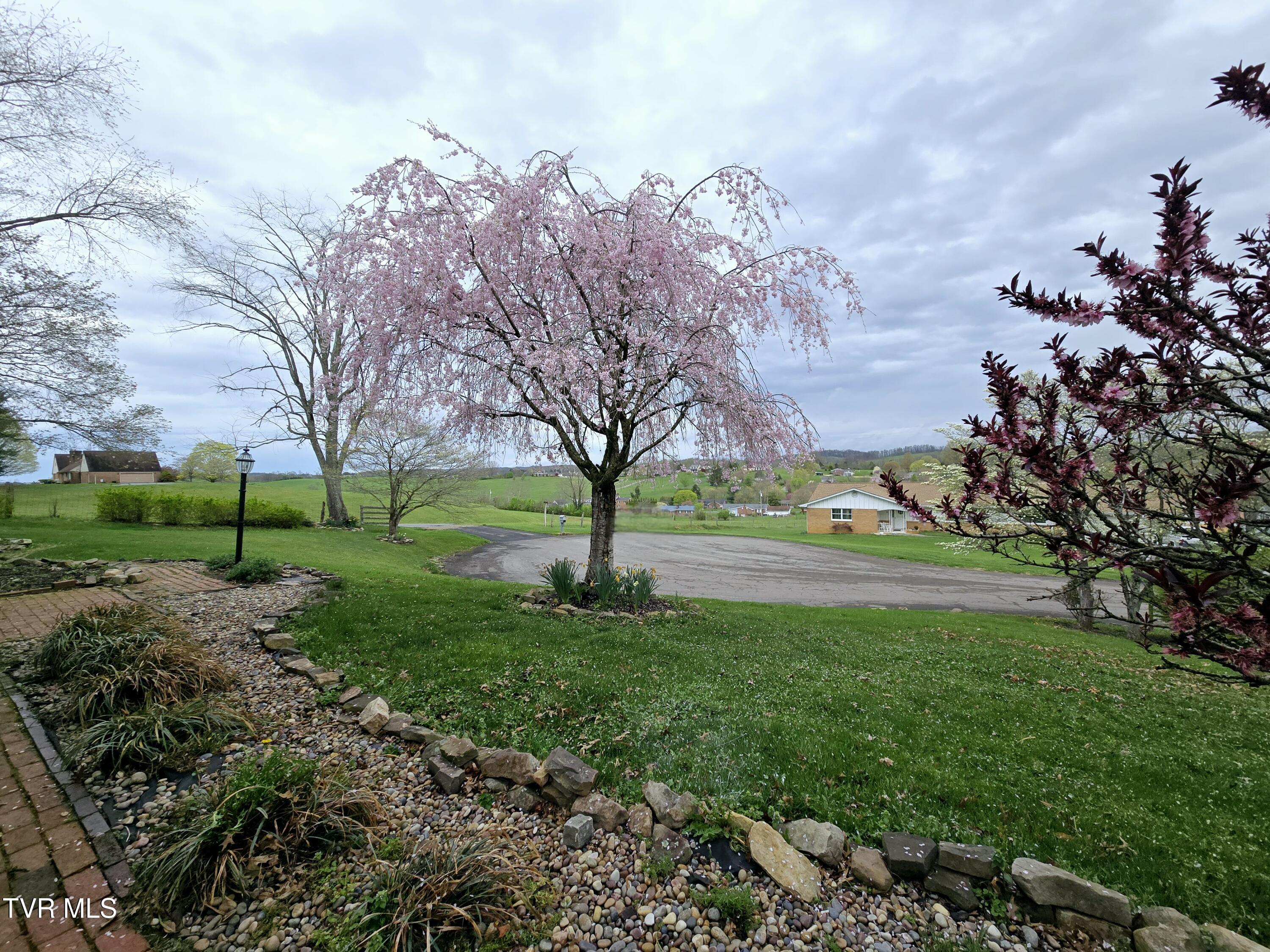 19250 Oakwood Drive, Abingdon, Virginia image 3