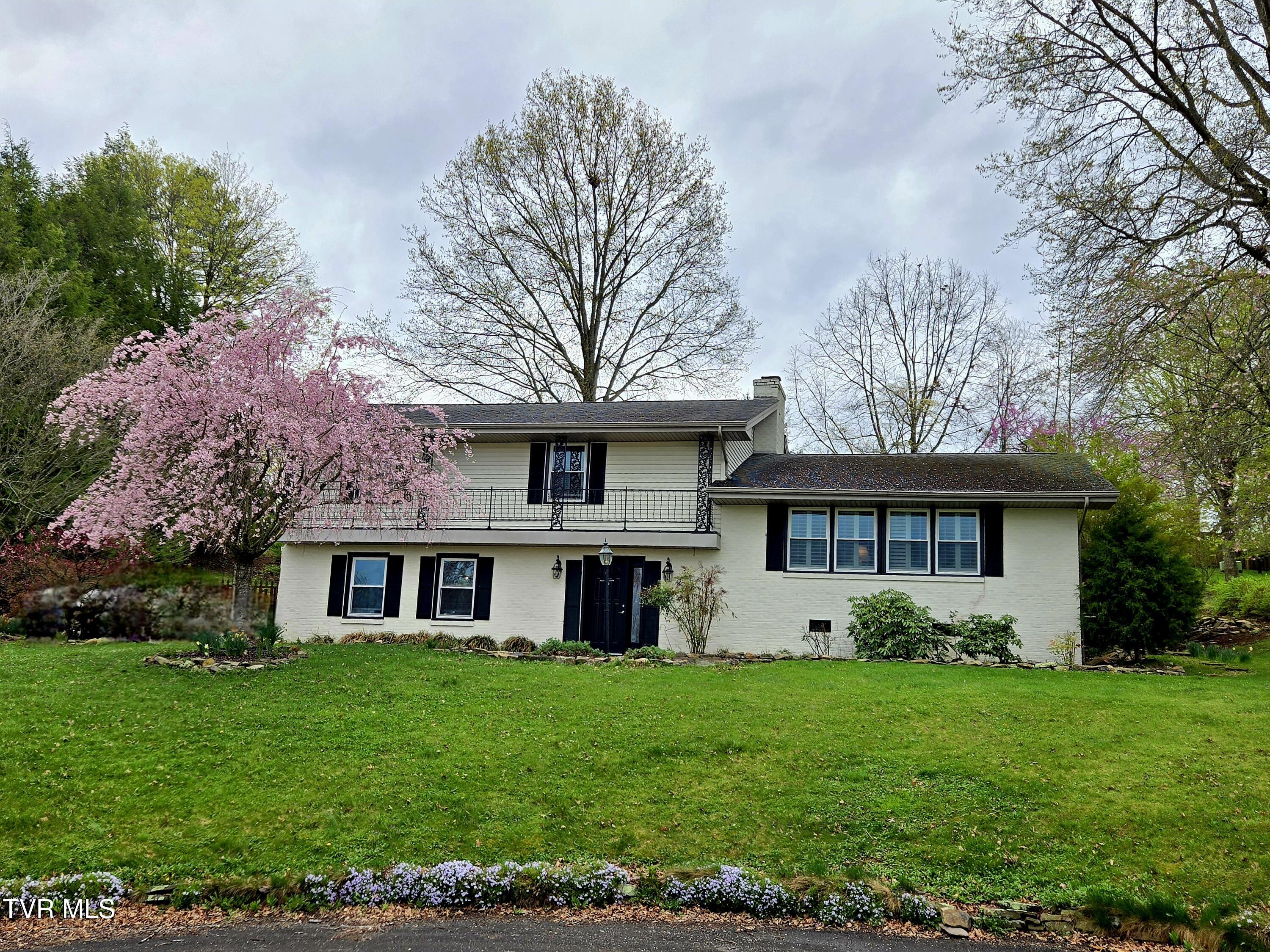 19250 Oakwood Drive, Abingdon, Virginia image 1