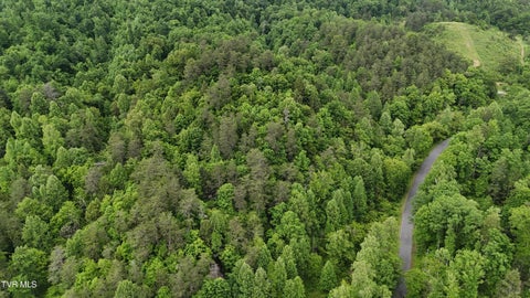 Vacant Land For Sale - TBD Early Branch Road<br/> Rogersville, TN 37857