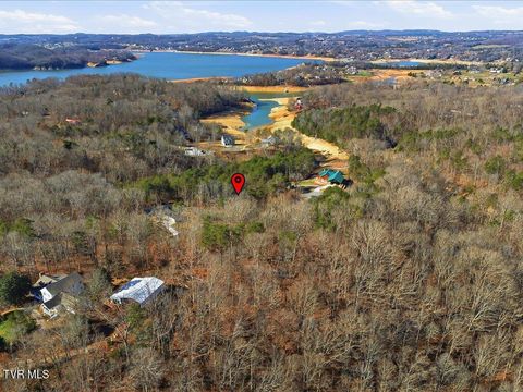 Vacant Land For Sale - LOT 18 Cove Springs Drive<br/> Dandridge, TN 37725