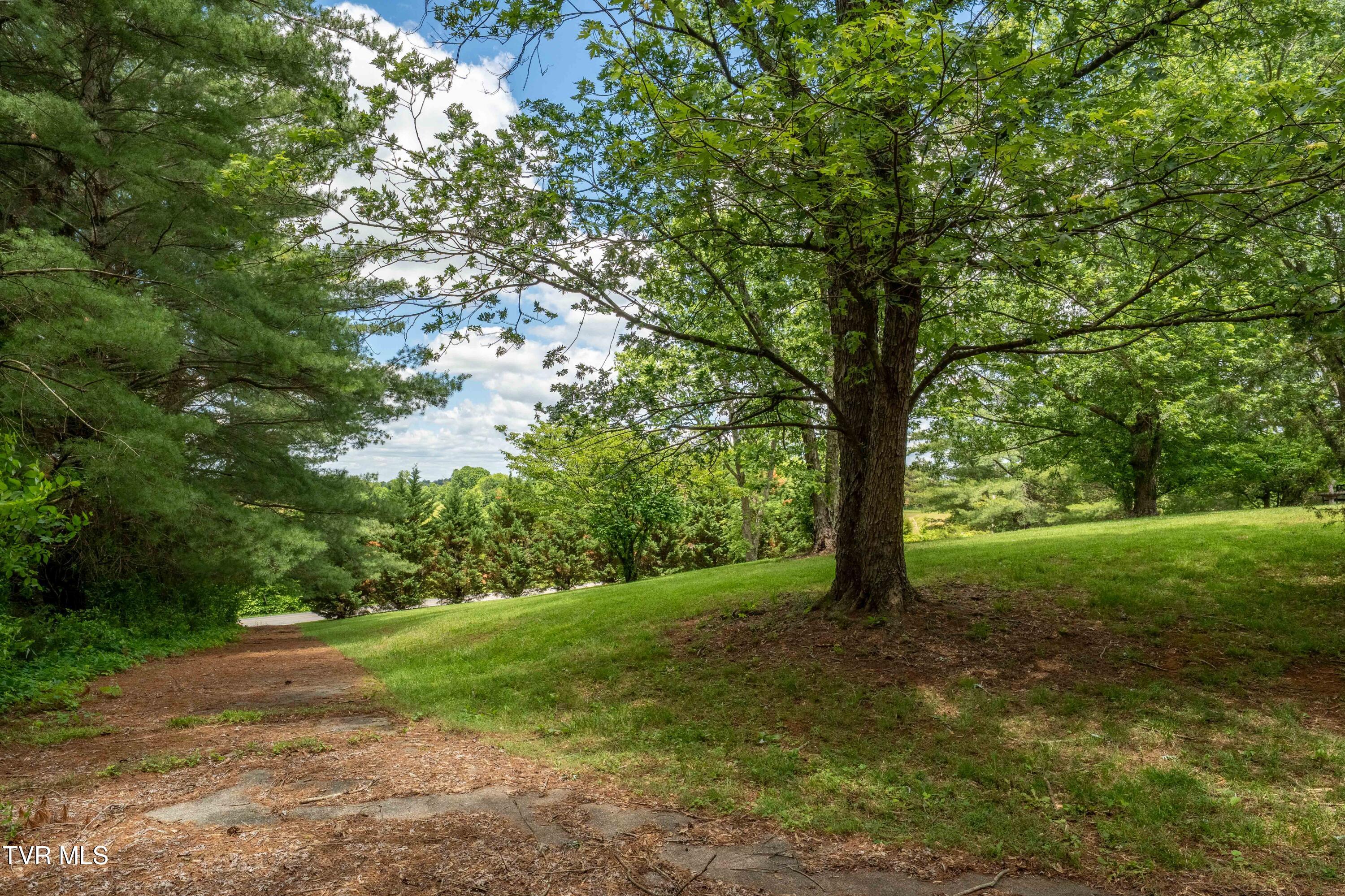 293 Miller Road, Jonesborough, Tennessee image 48