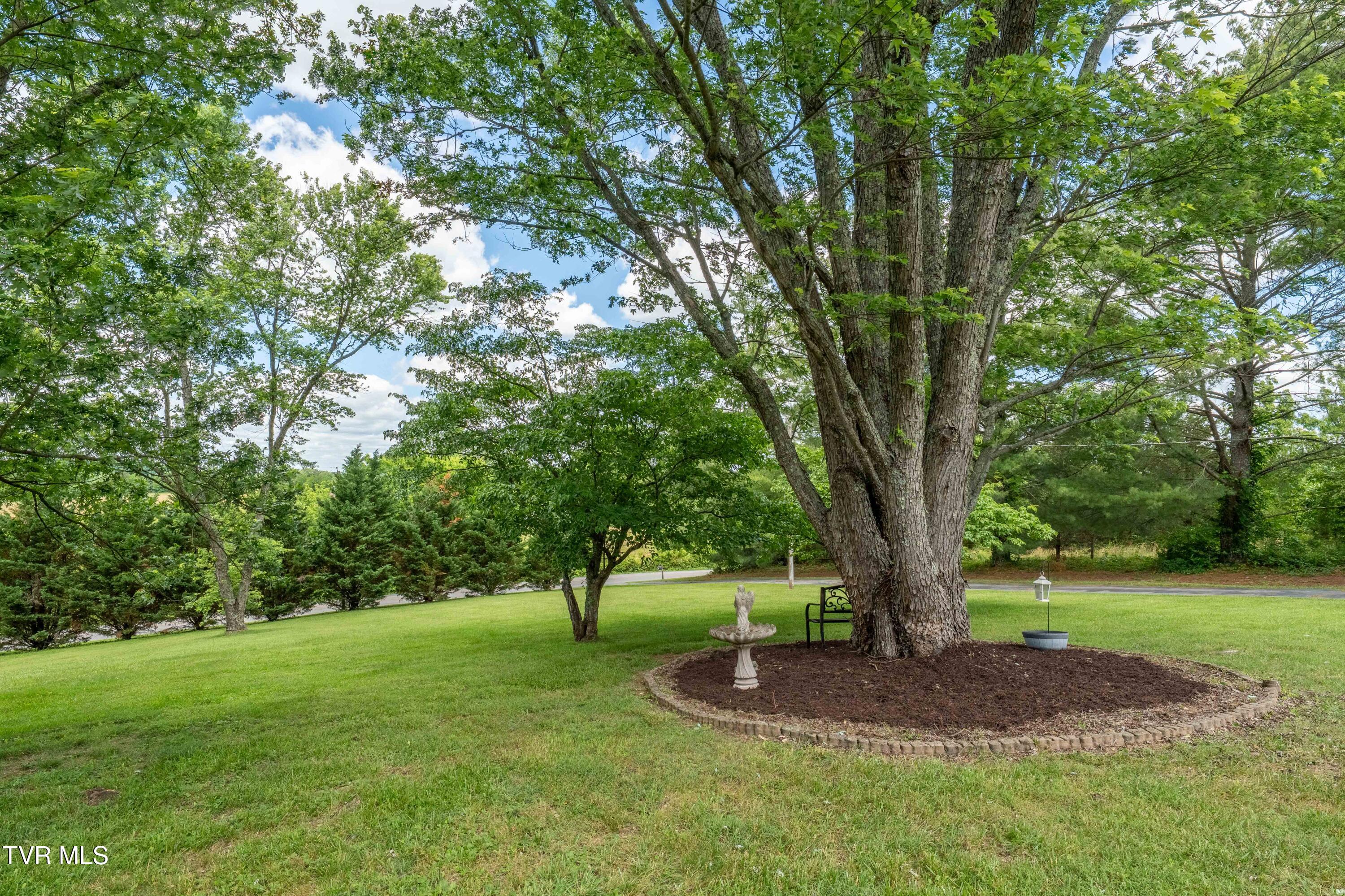 293 Miller Road, Jonesborough, Tennessee image 47