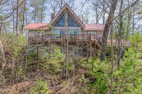 Photo of 461 Little Switzerland Pvt Drive, Bristol, TN 37620 (MLS # 9992567)