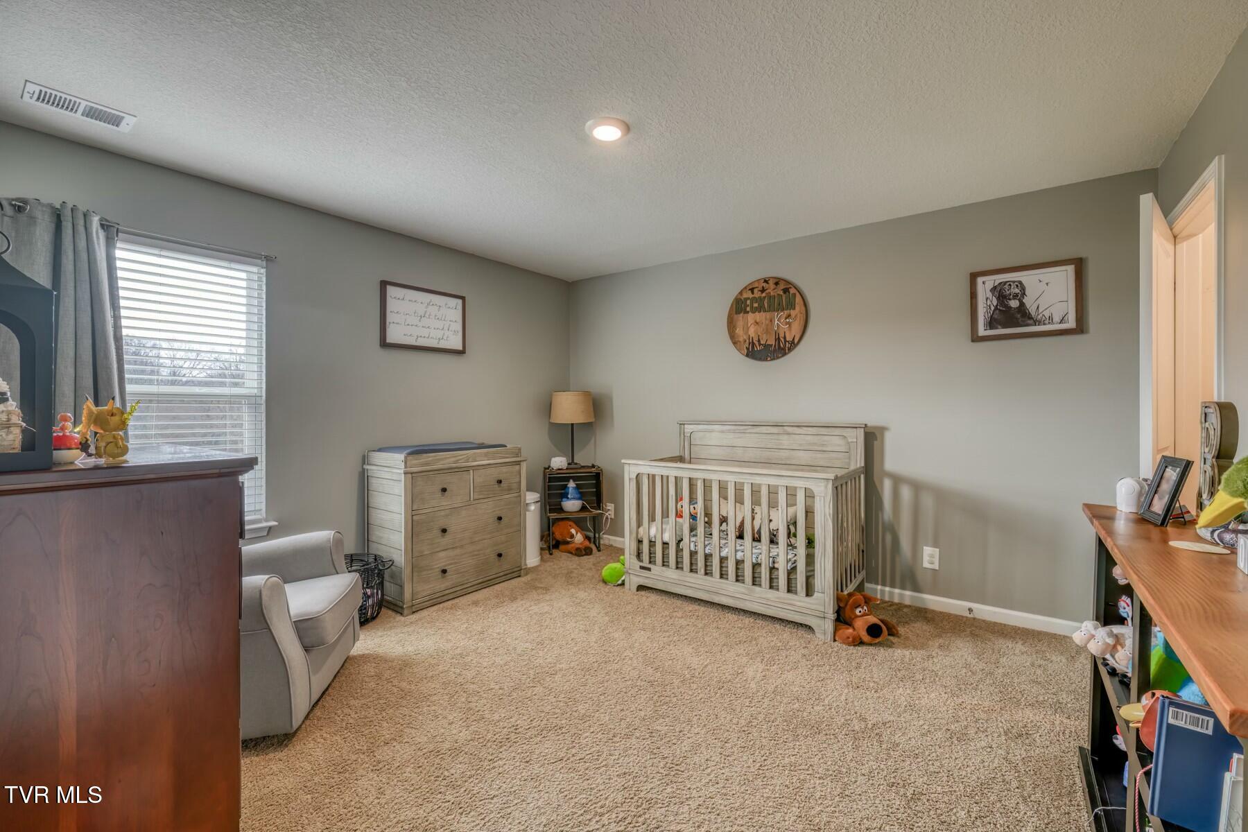 6758 Wildlife Circle, Piney Flats, Tennessee image 25