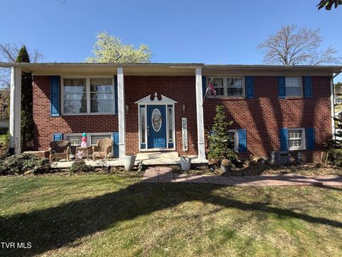 952 Afton Street Kingsport TN 37660