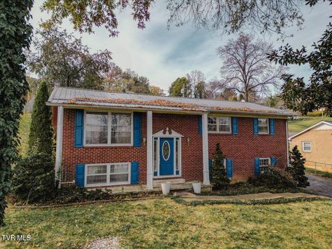 Photo of 952 Afton Street, Kingsport, TN 37660 (MLS # 9992367)