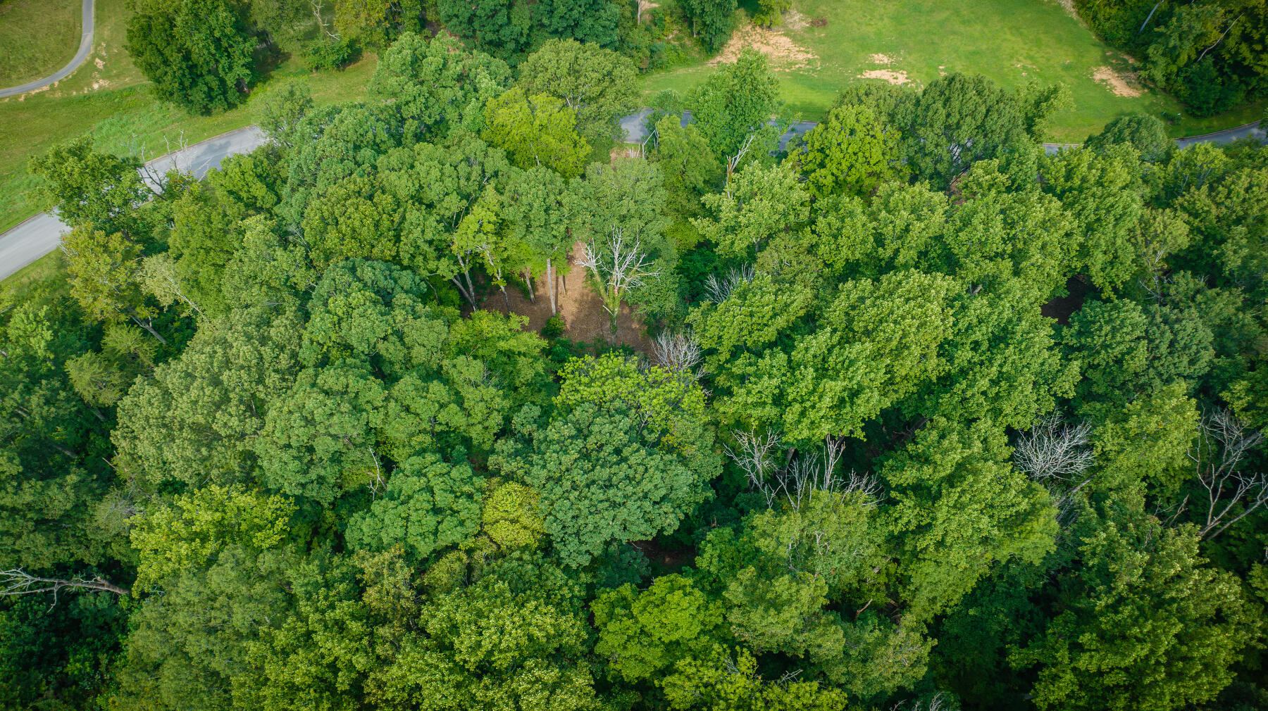 Lot 37 Chimney Top Lane, Chuckey, Tennessee image 12