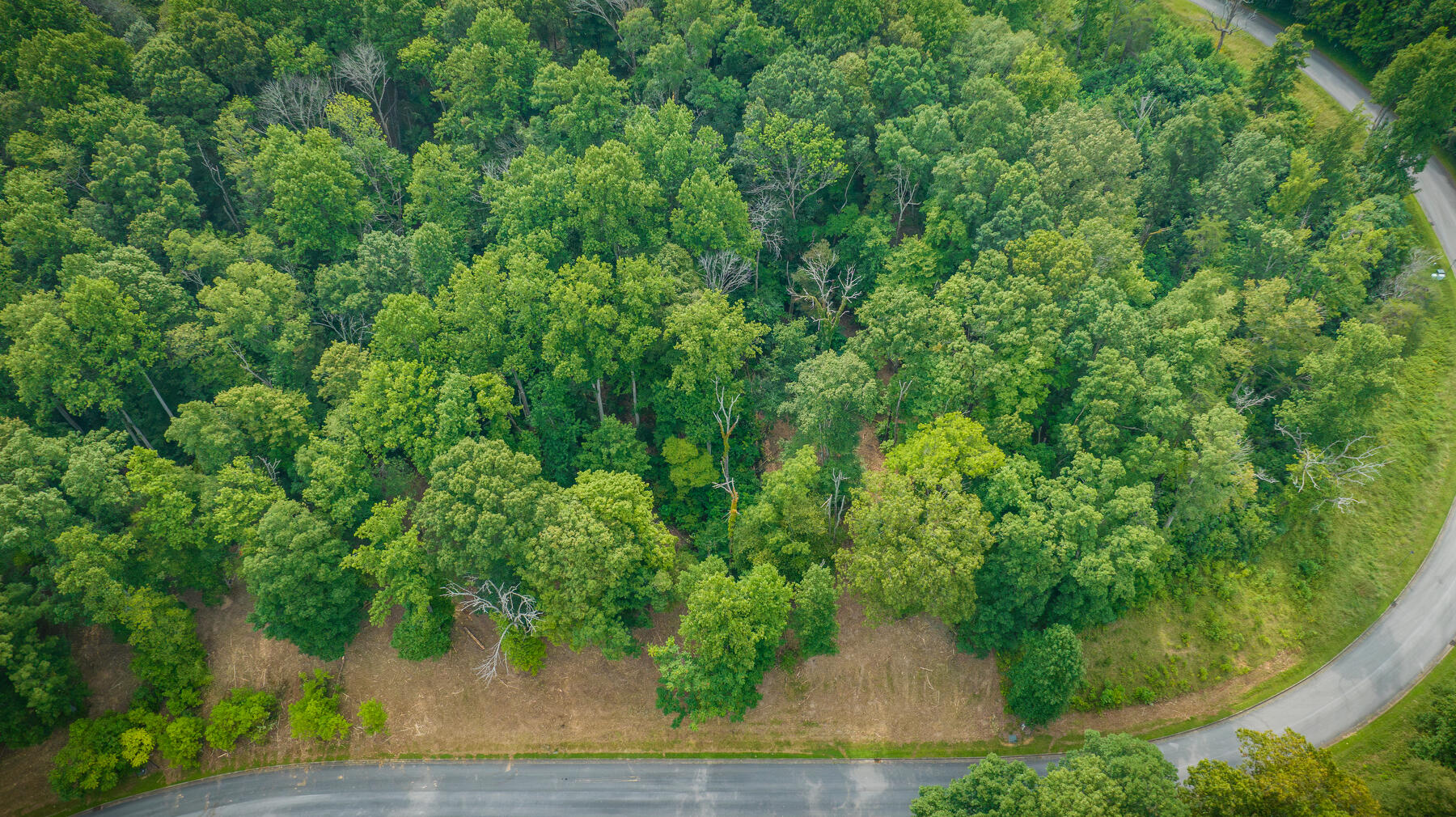 Lot 37 Chimney Top Lane, Chuckey, Tennessee image 6