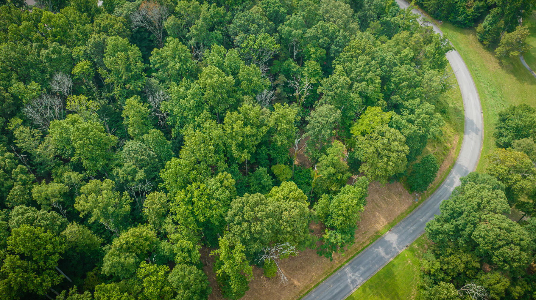 Lot 37 Chimney Top Lane, Chuckey, Tennessee image 8