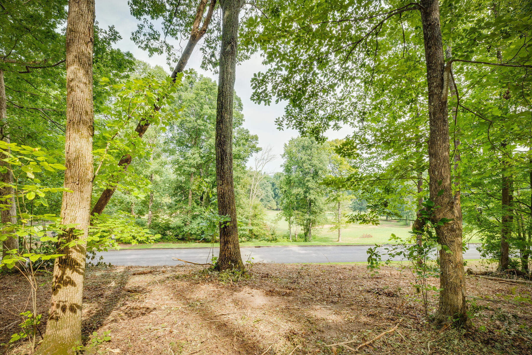 Lot 37 Chimney Top Lane, Chuckey, Tennessee image 4