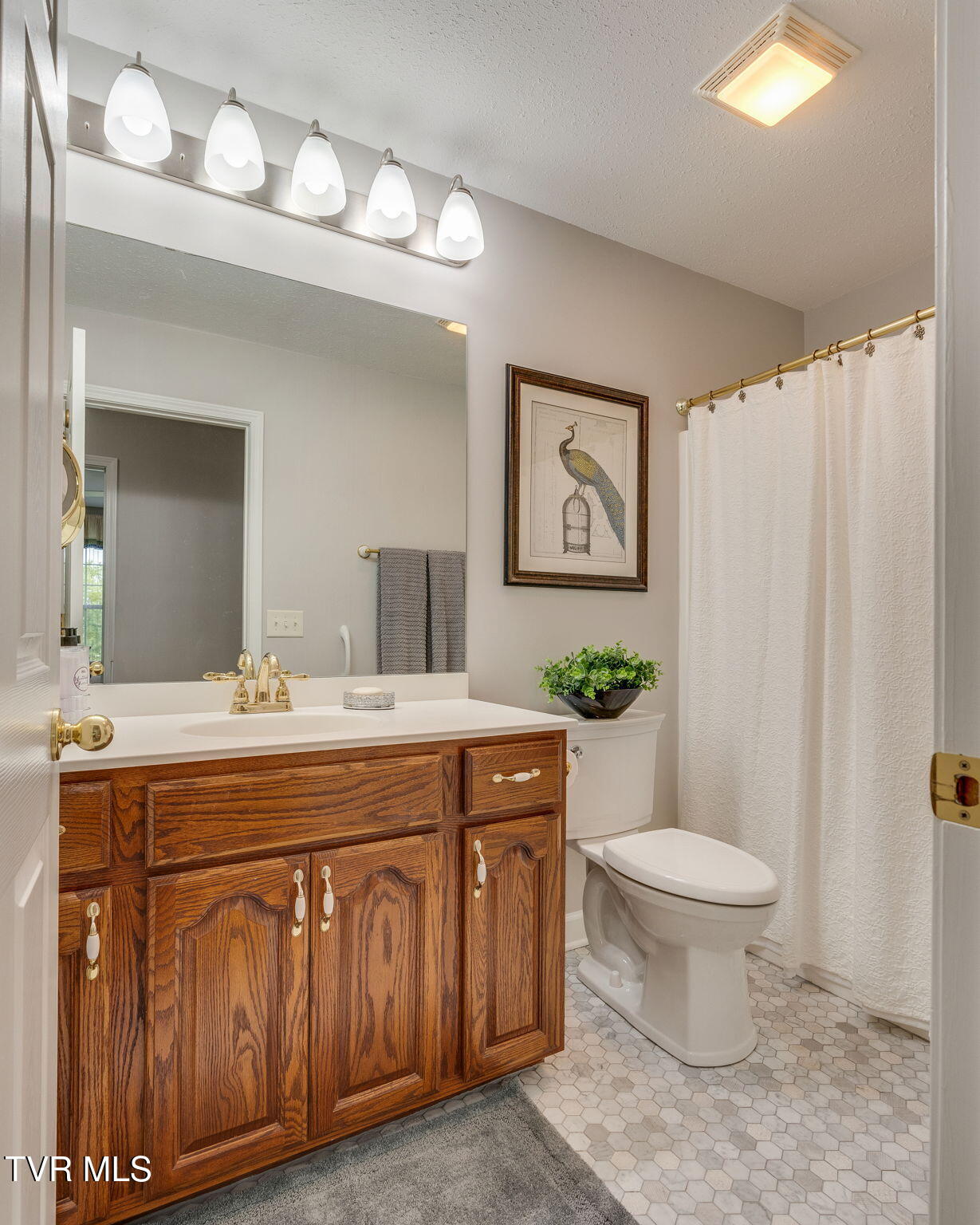 221 Country Meadows Circle, Bristol, Tennessee image 25