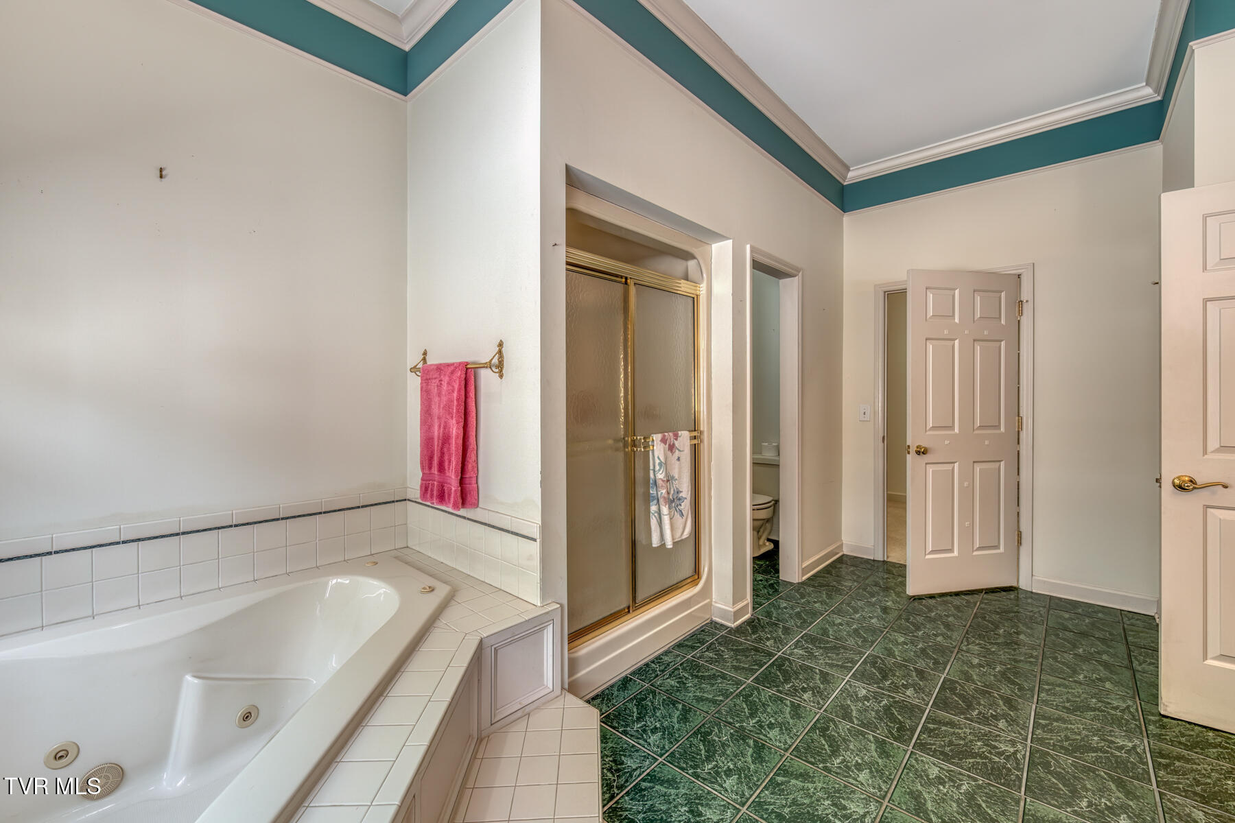205 Woodbriar Drive, Johnson City, Tennessee image 19