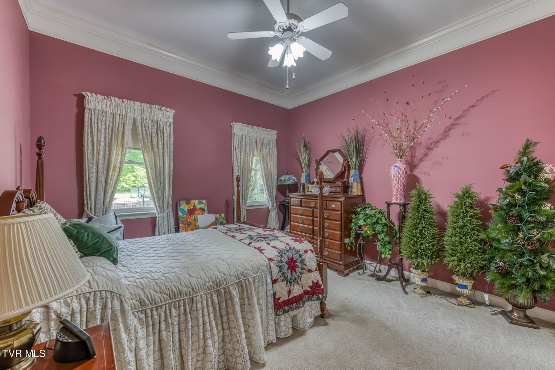 205 Woodbriar Drive, Johnson City, Tennessee image 40