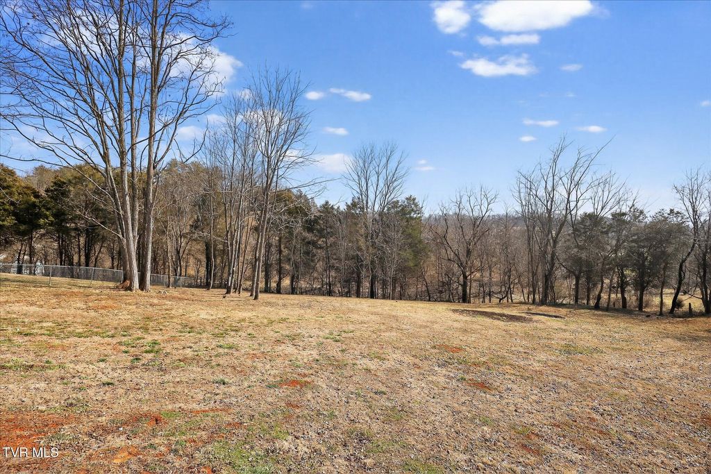 Photo of 353 Valley Drive, Church Hill, TN 37642 (MLS # 9991230)