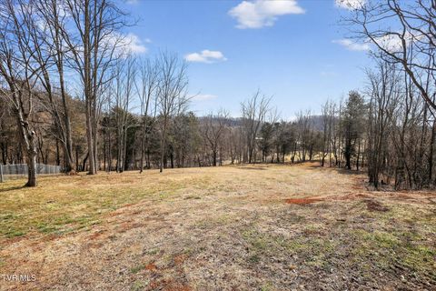 Vacant Land For Sale - 353 Valley Drive<br/> Church Hill, TN 37642