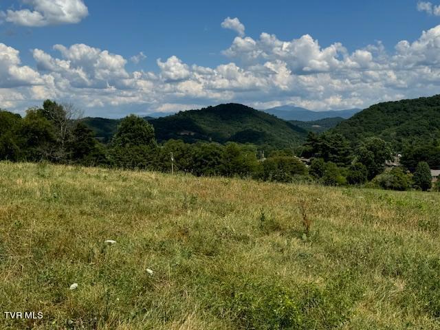 17470 Celebrity Lane, Abingdon, Virginia image 26