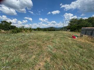 17470 Celebrity Lane, Abingdon, Virginia image 5