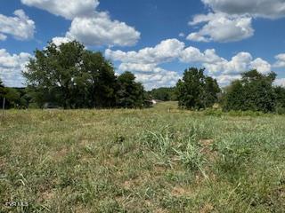 17470 Celebrity Lane, Abingdon, Virginia image 9