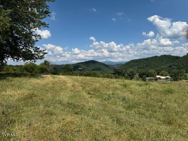 17470 Celebrity Lane, Abingdon, Virginia image 22