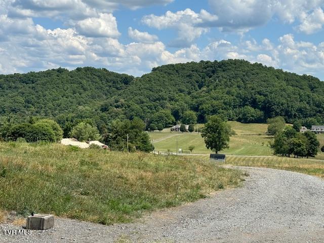 17470 Celebrity Lane, Abingdon, Virginia image 1