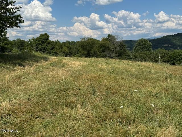 17470 Celebrity Lane, Abingdon, Virginia image 27